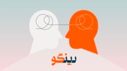 شمس تبریزی به‌جز زبان عشق چه زبان دیگری داشت؟