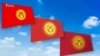 Тууну өзгөртүү демилгеси кызуу талкууда