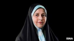 پروانه سلحشوری نقش وزارت اطلاعات دولت در بسیاری از پرونده‌های دانشجویان را غیرقابل انکار خواند.