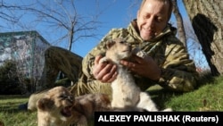 Oleg Zubkov, Qırımdaki safari parkınıñ saibi