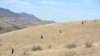 Որոնողական աշխատանքներ, արխիվ