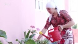Кыргыз-Кыштактын илбериңки келиндери