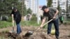 "Эбак жунгли болмокпуз". Көктөбөй калган көчөт көппү? 