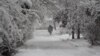 16x9 Image