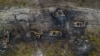 Знищена російська бронетехніка після того, як ЗСУ розгромили російських військових під Києвом, 31 березня 2022 року 