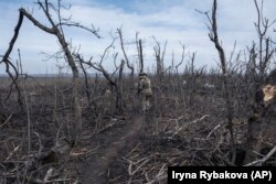 Украинский военный недалеко от Клещеевки, март 2024 года